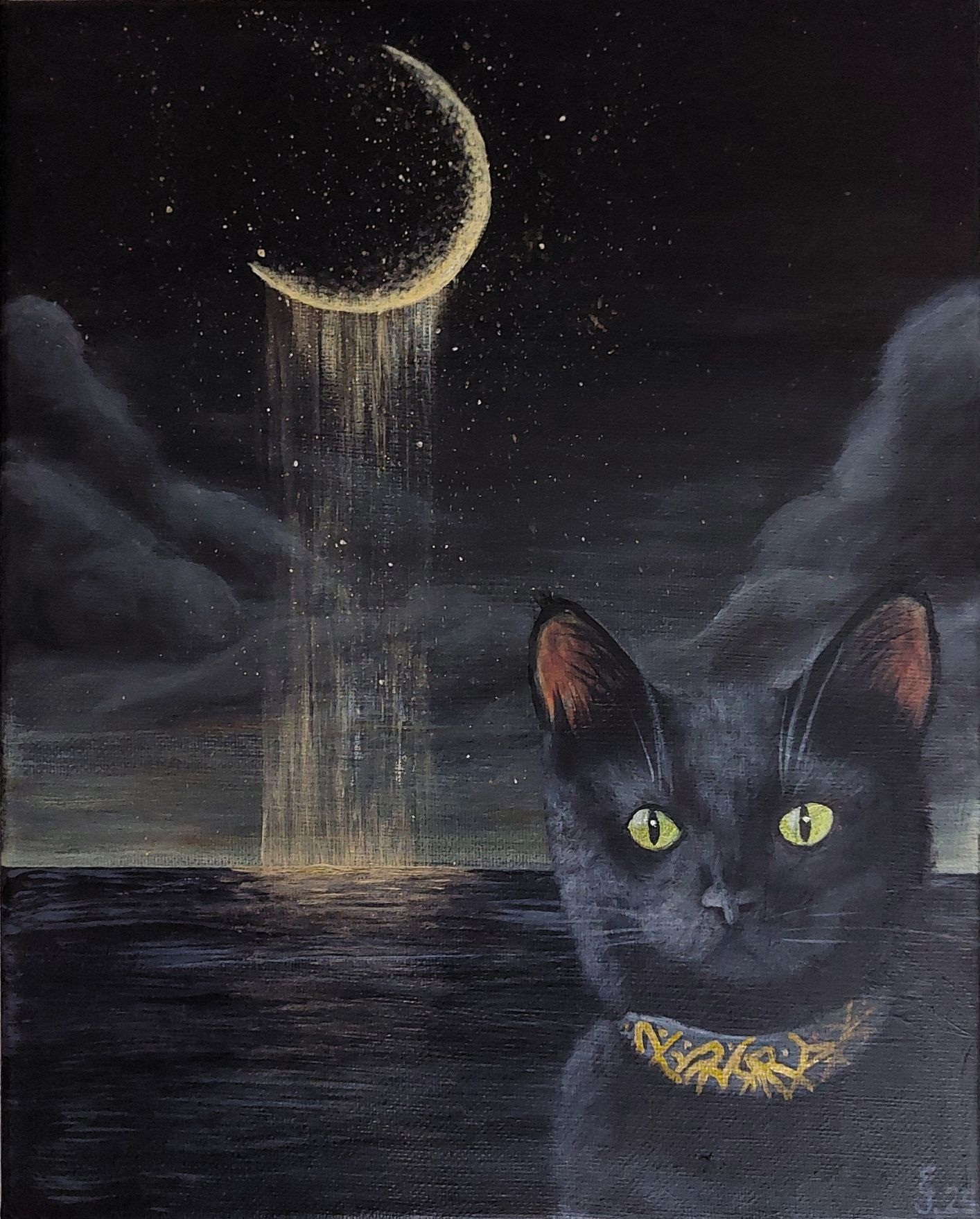 The Magical Cat / Magická kočka